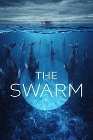 swarm 123movies